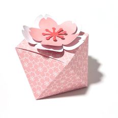 cherry flower box