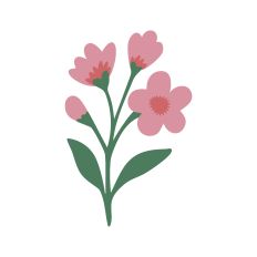 The Floral Collection - Cherry Blossom