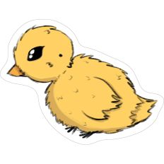 Chick