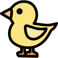 Baby Chick