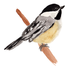 Chickadee Sticker - Watercolor Print & Cut
