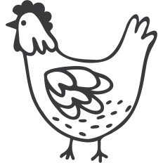 Chicken Doodle