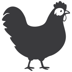 Chicken Doodle in a Whimsical Style