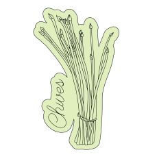 Chives Herbal Sketch