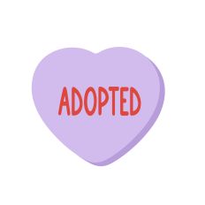 Christian Conversation Heart - Adopted - for Silhouette Studio