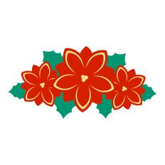 Christmas Flower - Poinsettia