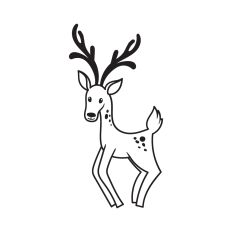 Cute Deer