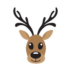 Cute deer