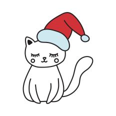 Cat with Santa hat