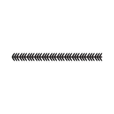 Pine branch border