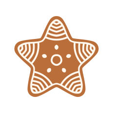 Gingerbread star