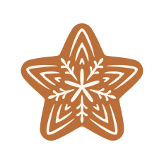 Christmas star cookie