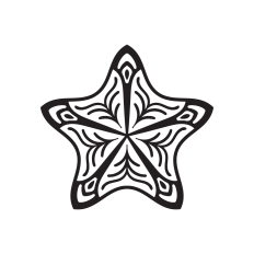 Christmas Star