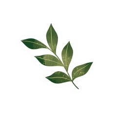 Christmas Leaves