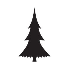 Fir tree silhouette