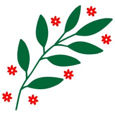 Christmas Branch with Red Flowers 