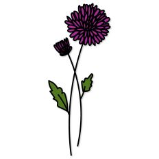 Chrysanthemum Birth Flower