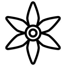 Cinco de Mayo Flower Outline