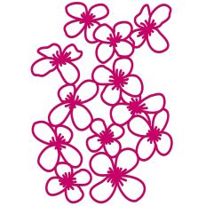 Clematis Blossom Flowers