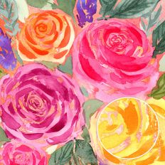 alt tag: watercolour background of pink, yellow and mauve roses in full bloom with green foliage