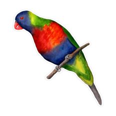 Rainbow Lorikeet Australian Bird Watercolor Print & Cut Design