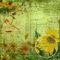 green vintage ephemera background with yellow sunflowers, handwritten script, antique French receipts, and a line drawing of a lady with parasol