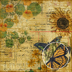 Vintage ephemera background with yellow and orange butterflies, sunflowers, nasturtiums, antique French text, and grunge textures in warm ochre tones