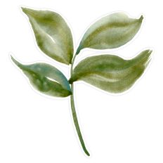 Watercolor 4 Green Leaves Print & Cut for Cards, Planners, and DIY Crafts