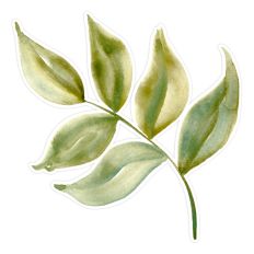 Watercolor 6 Green Leaves Print & Cut for Cards, Planners, and Scrapbooking