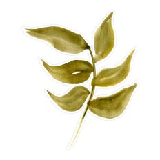 Watercolor 6 Olive Green Leaves Print & Cut for Cards, Journals, and Crafts