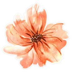 Apricot Watercolor Flower SVG – Abstract Print and Cut File