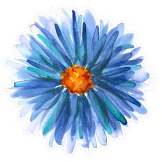 Blue Watercolor Daisy SVG – Floral Print and Cut File