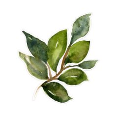 Eight Watercolor Leaf Spray Print and Cut