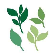 leaf svg elements for rolled flowers, cardmaking etc