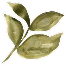 Watercolor Olive Green Leaf Clipart | Printable & Cut File