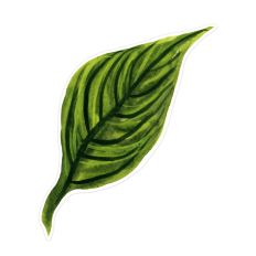 Large Lined Watercolor Leaf Print and Cut