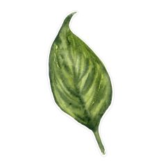 Large Soft Blend Watercolor Leaf Print and Cut