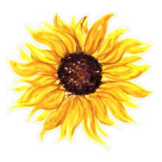Large Watercolor Sunflower Flower Print and Cut