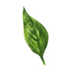 Large Variegated Watercolor Leaf Print and Cut