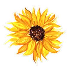 Small Watercolor Sunflower Flower Print and Cut