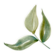 Watercolor 3 Green Leaves Print & Cut for Scrapbooking, Cards, and DIY Projects