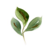 Three Watercolor Leaf Spray Print and Cut