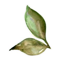 Two Olive Green Watercolor Leaf Spray Print and Cut