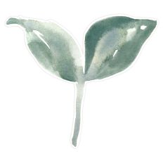 Watercolor Sage Green Leaf Clipart  Print and Cut for Crafting