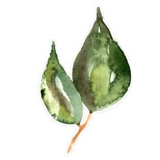 Variegated Two  Green Watercolor Leaf Spray Print and Cut