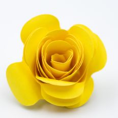 yellow rolled paper flower with spaced oval petals