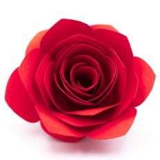 red rolled paper flower with bold rounded and pointed petals
