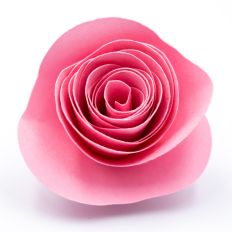 pink rolled paper flower with flowing wavy petals