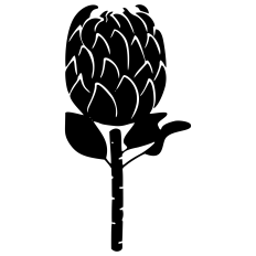 Protea South African National Flower Cut File