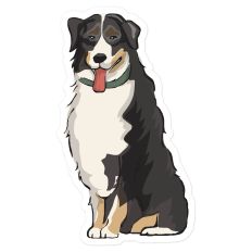 Collie Cutie